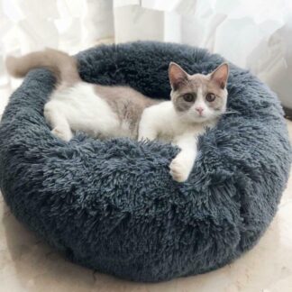 Cat Beds and Furniture