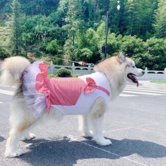 Princess Dog Costume – Elegant Skirts for Large Breeds