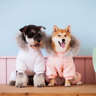 Dog Winter Coat with Stylish Hoodie – Warm and Casual Pet Apparel